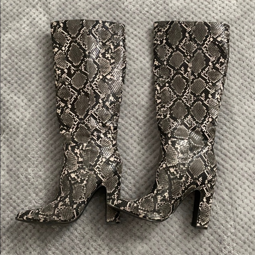 Steve Madden Snake Knee High Boots